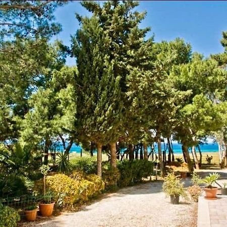 Appartamento I Tramonti Di Cofano Castelluzzo Eksteriør billede