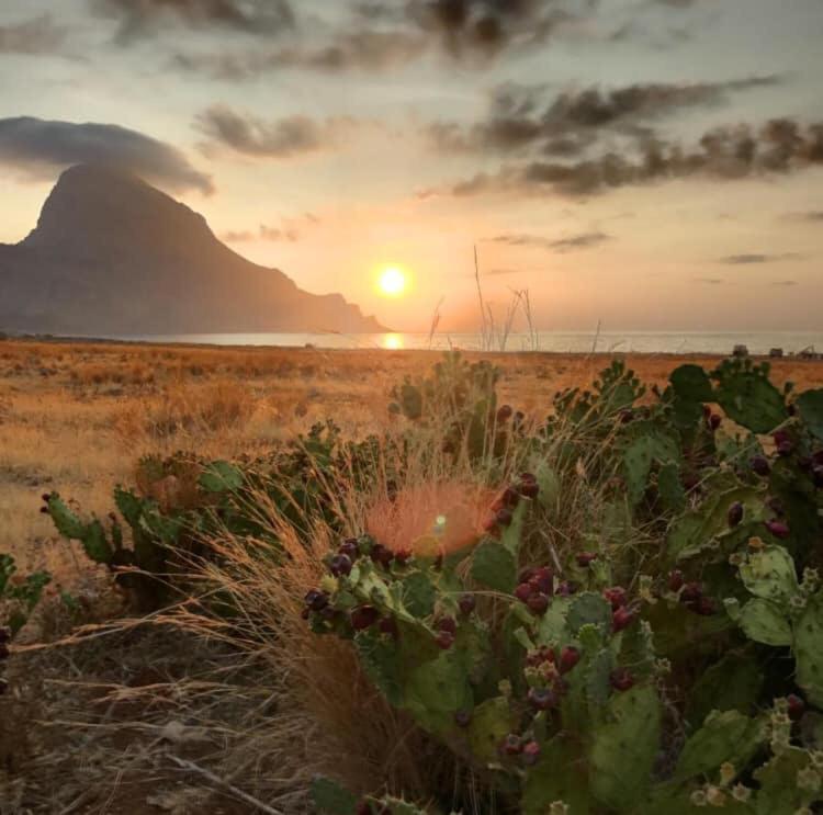 Appartamento I Tramonti Di Cofano Castelluzzo Eksteriør billede