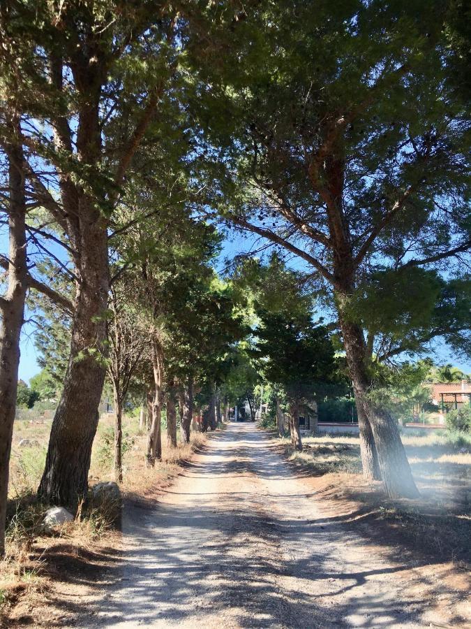 Appartamento I Tramonti Di Cofano Castelluzzo Eksteriør billede