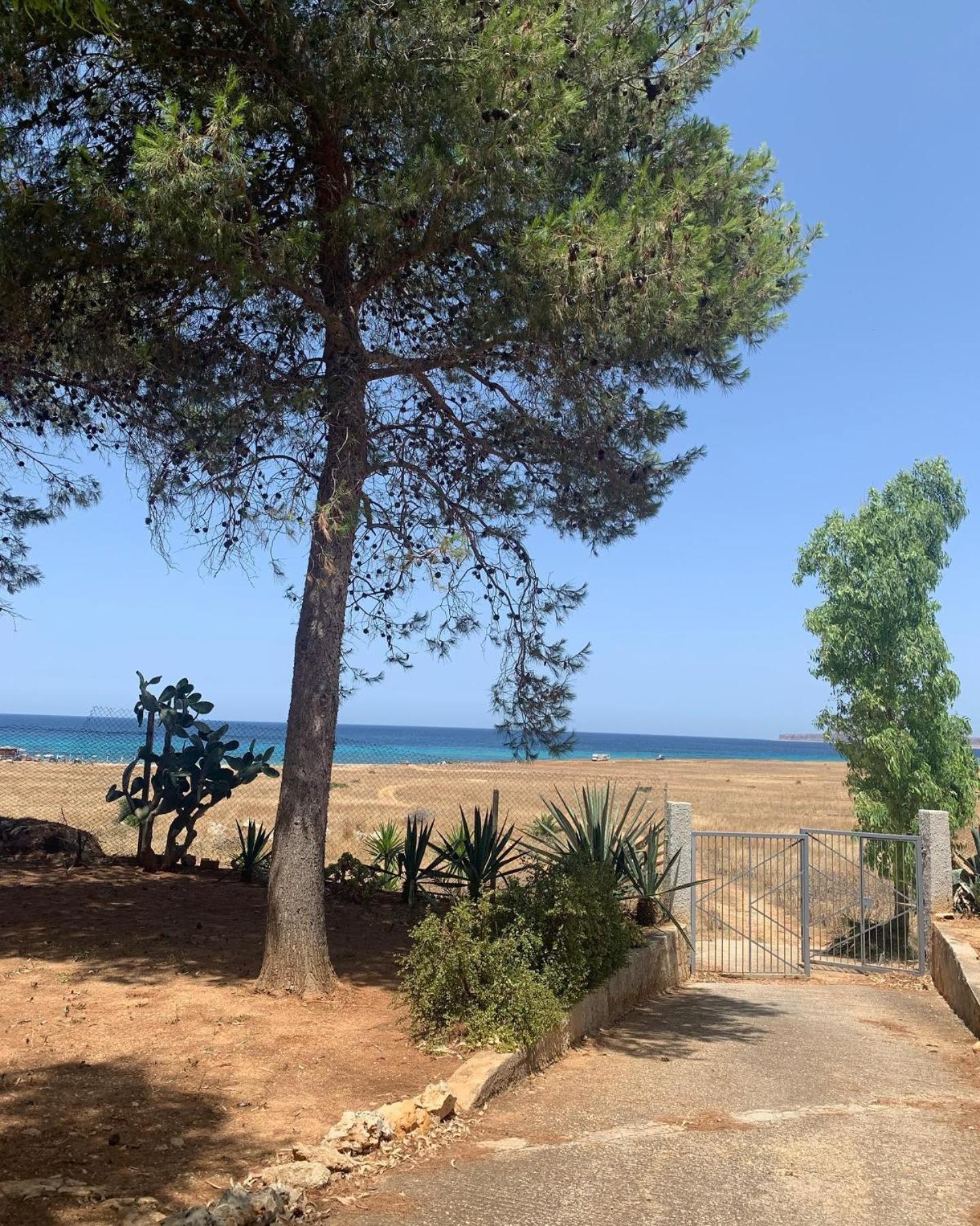 Appartamento I Tramonti Di Cofano Castelluzzo Eksteriør billede