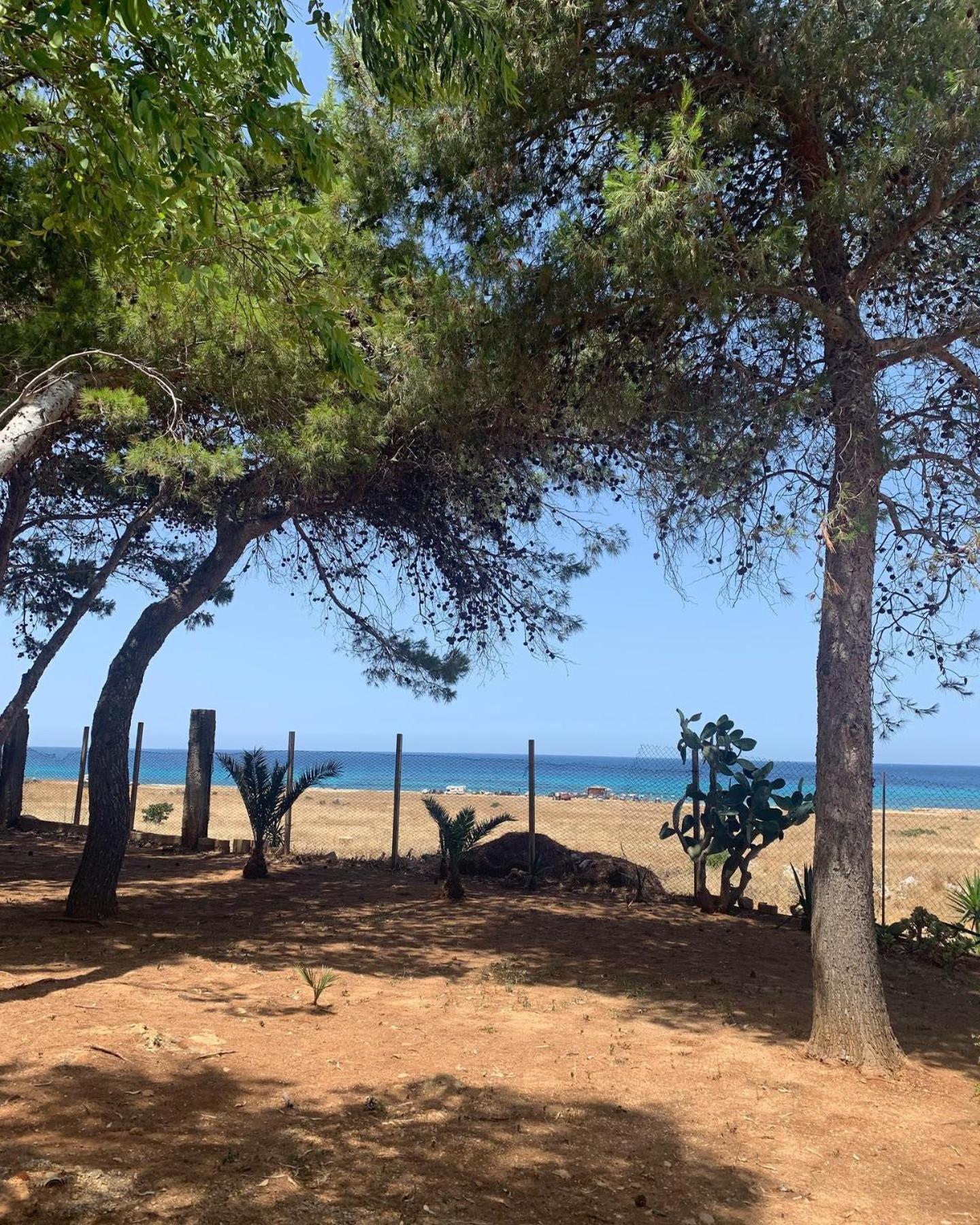 Appartamento I Tramonti Di Cofano Castelluzzo Eksteriør billede